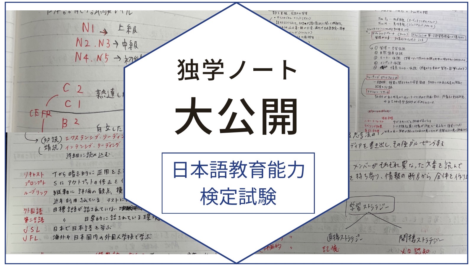 日本語教育能力検定試験 独学ノートの内容を公開！何を書いていた？